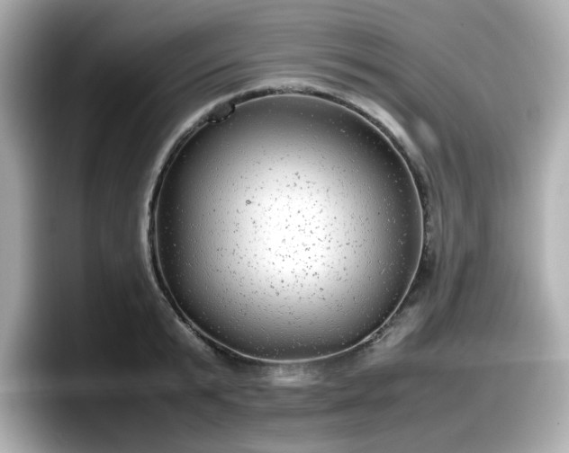 X0000098120799200804111114