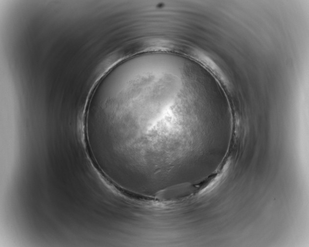 X0000098120802200804111114