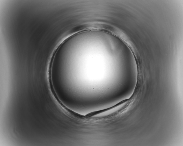 X0000098120803200804111114