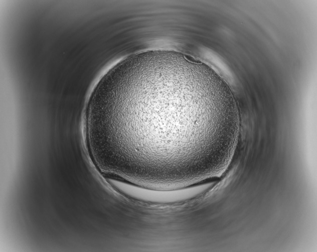 X0000098120804200804111114