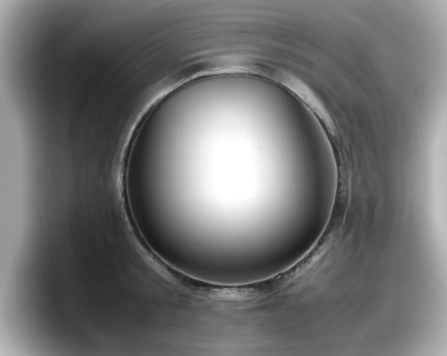 X0000098120805200804111114