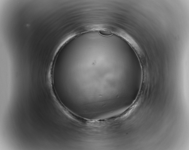 X0000098120806200804111114
