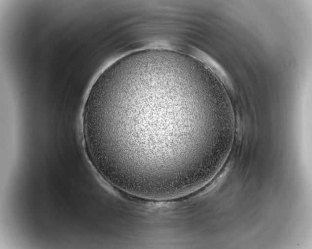 X0000098120808200804111114