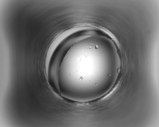 X0000098120809200804111114