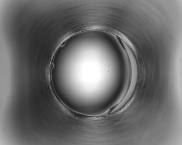 X0000098120810200804111114
