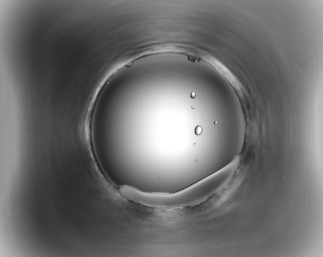 X0000098120813200804111114
