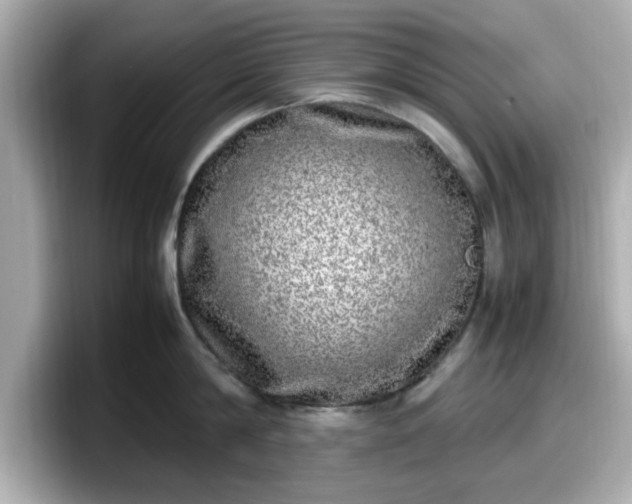 X0000098120814200804111114