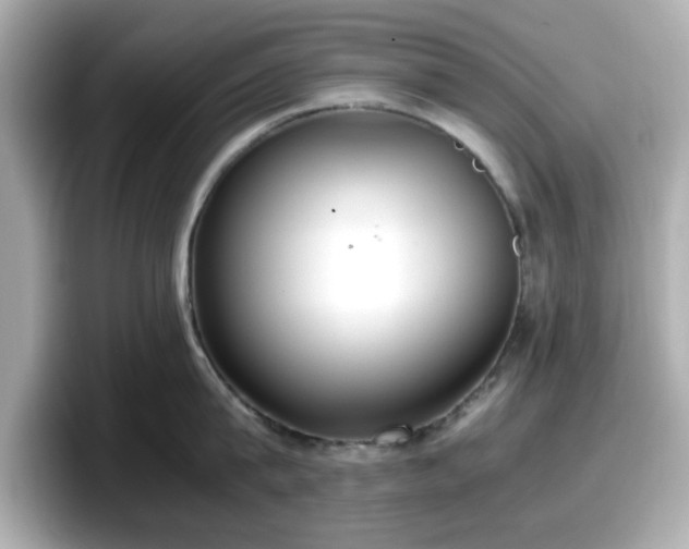 X0000098120815200804111114
