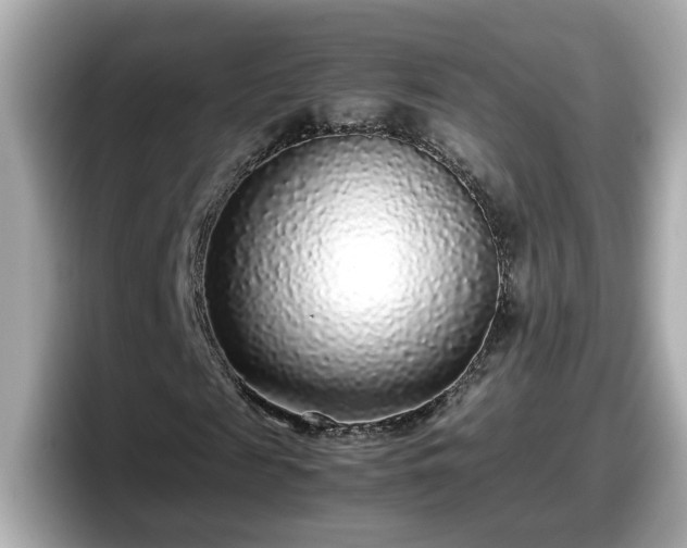 X0000098120817200804111113