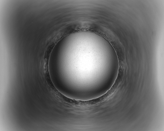 X0000098120818200804111113