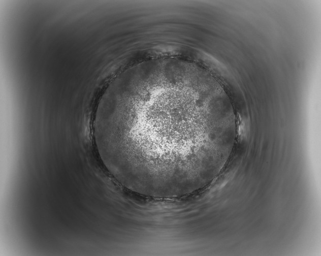 X0000098120819200804111113