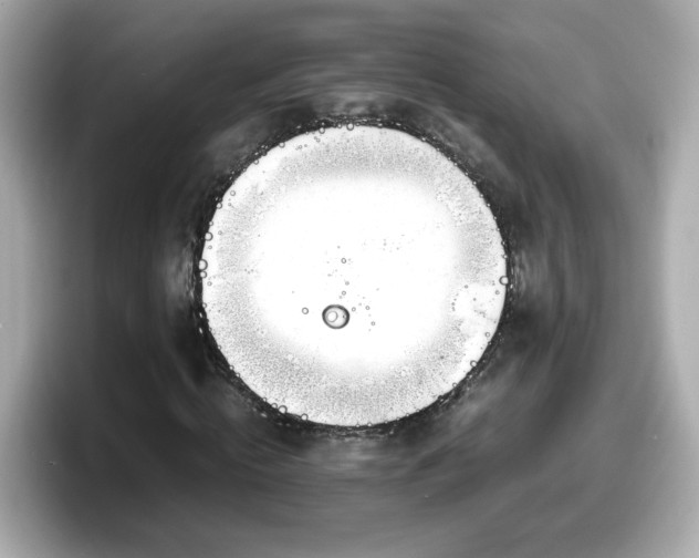 X0000098120820200804111113