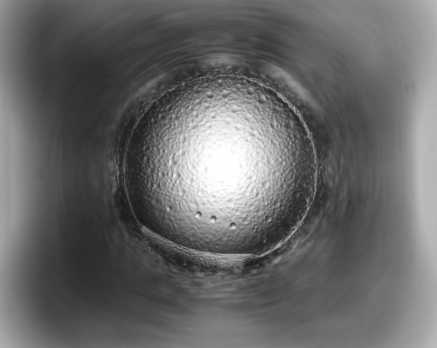 X0000098120821200804111113