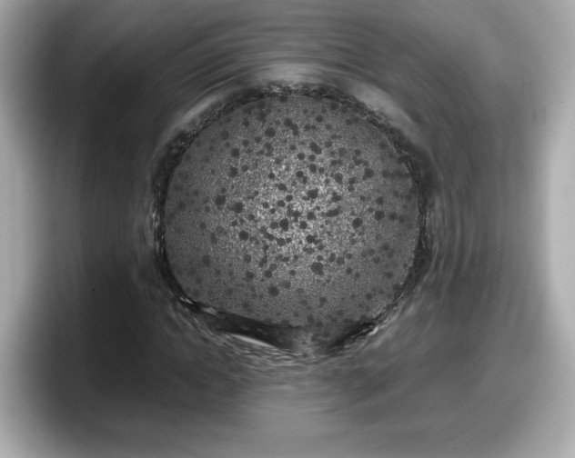 X0000098120822200804111113