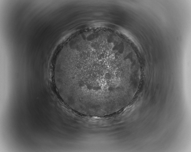 X0000098120823200804111113