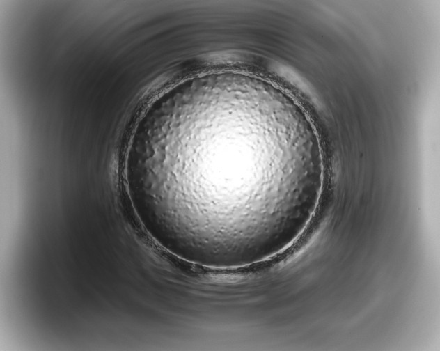X0000098120825200804111113