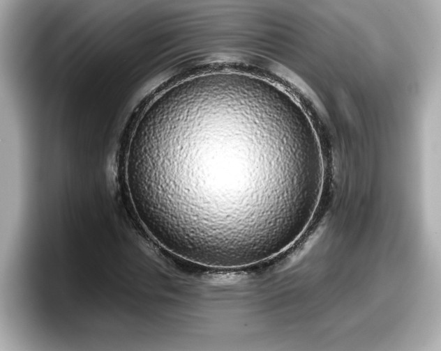 X0000098120826200804111113