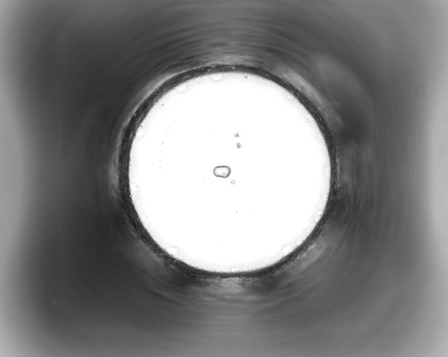 X0000098120828200804111113
