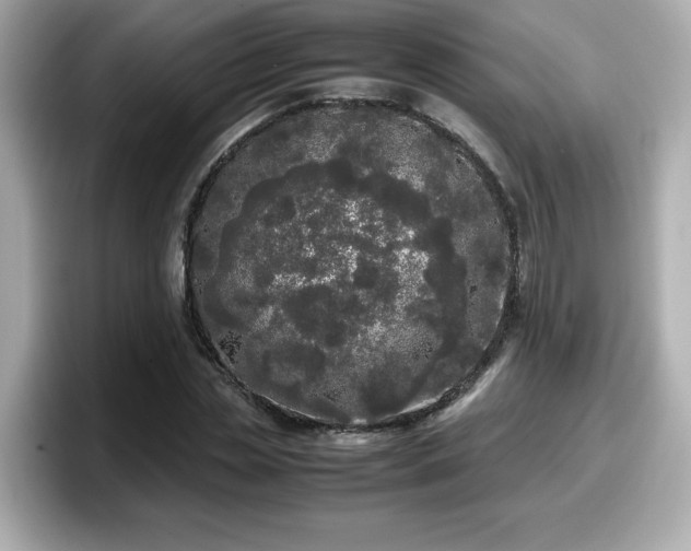 X0000098120829200804111113