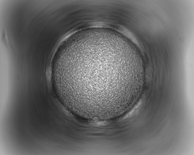 X0000098120831200804111113