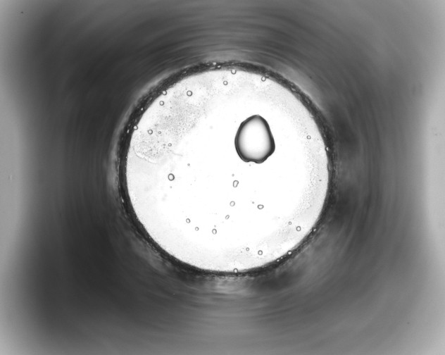X0000098120832200804111113
