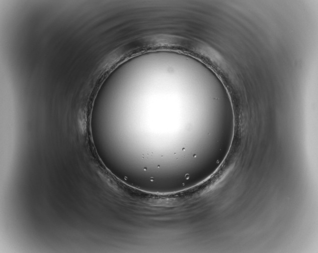 X0000098120833200804111113