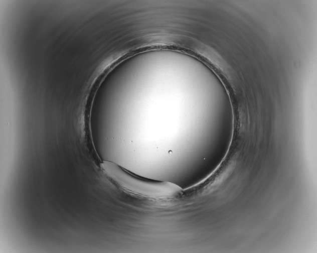 X0000098120834200804111113