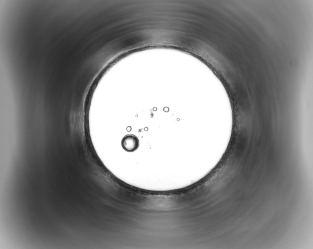 X0000098120836200804111113