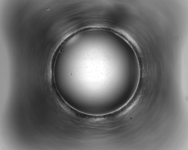 X0000098120837200804111113