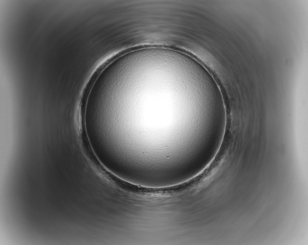 X0000098120838200804111113
