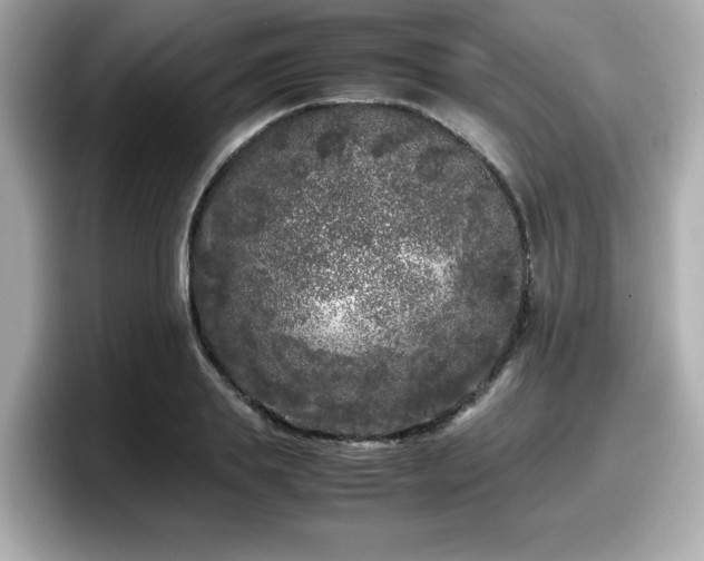X0000098120839200804111113