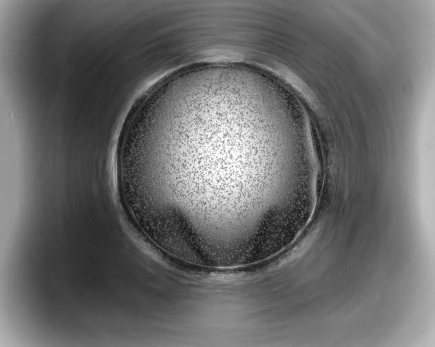 X0000098120840200804111113