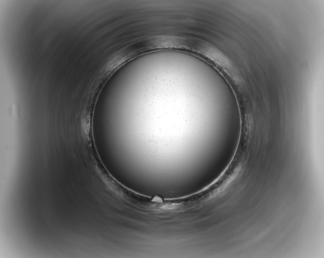 X0000098120841200804111113