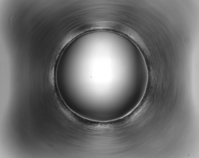 X0000098120842200804111113