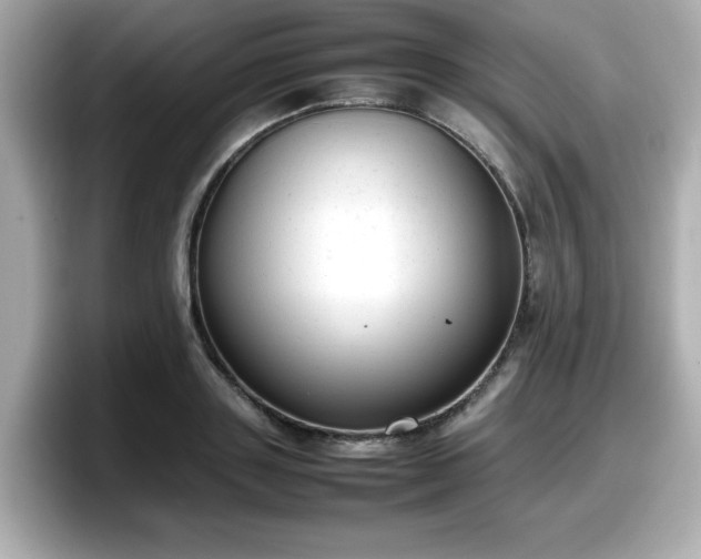 X0000098120843200804111113