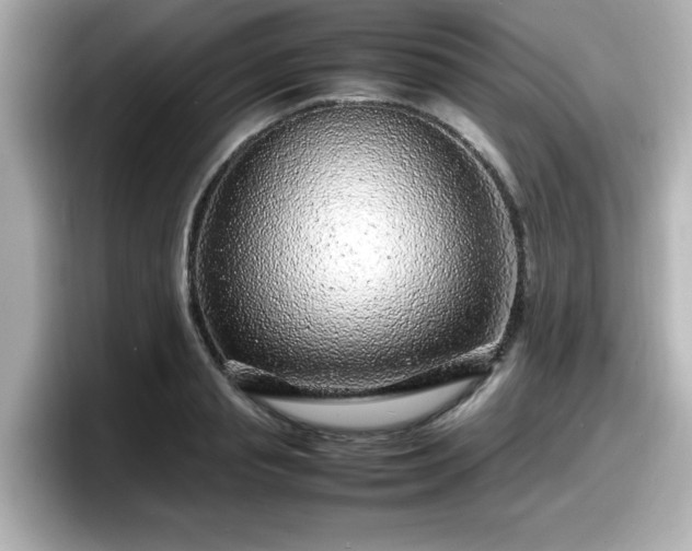 X0000098120845200804111113