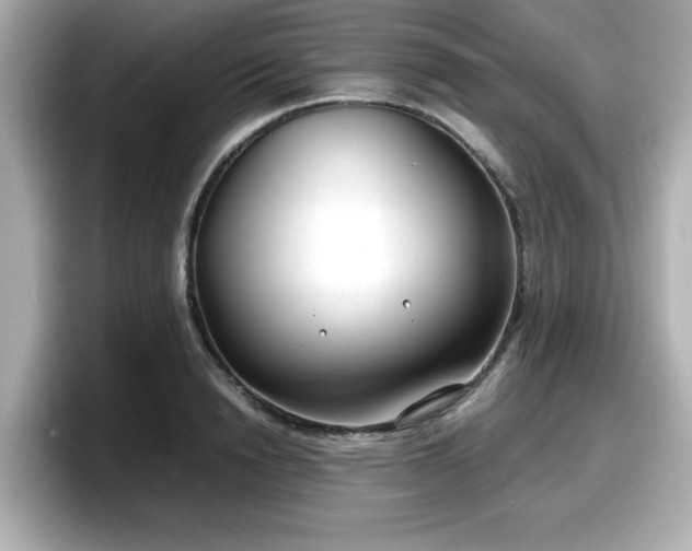 X0000098120846200804111113