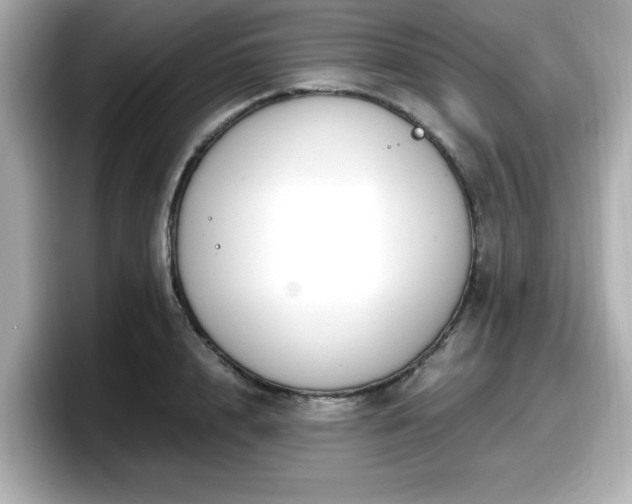 X0000098120848200804111113