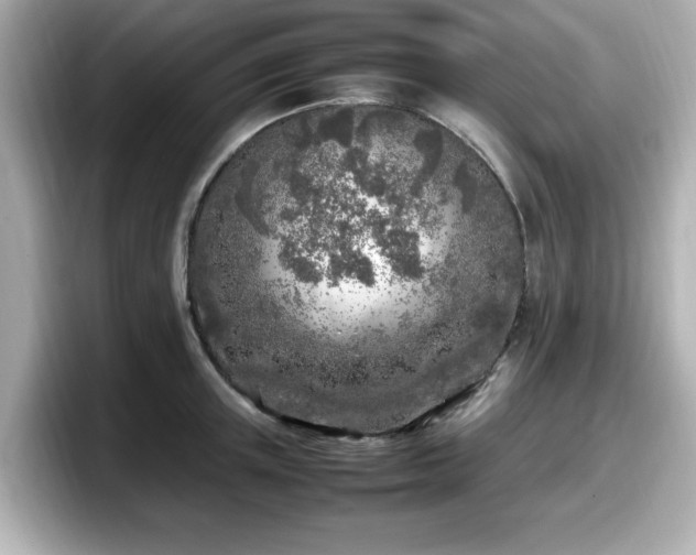 X0000098120851200804111114