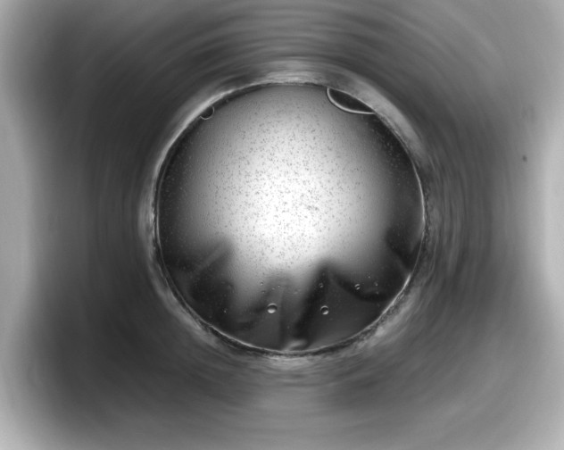 X0000098120852200804111114