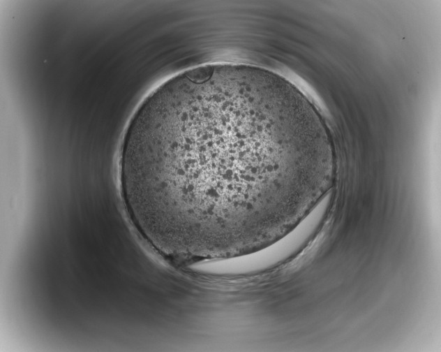 X0000098120854200804111114