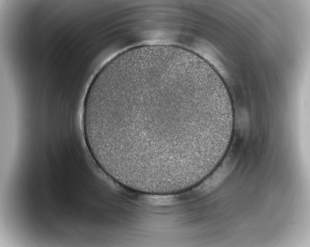 X0000098120856200804111114