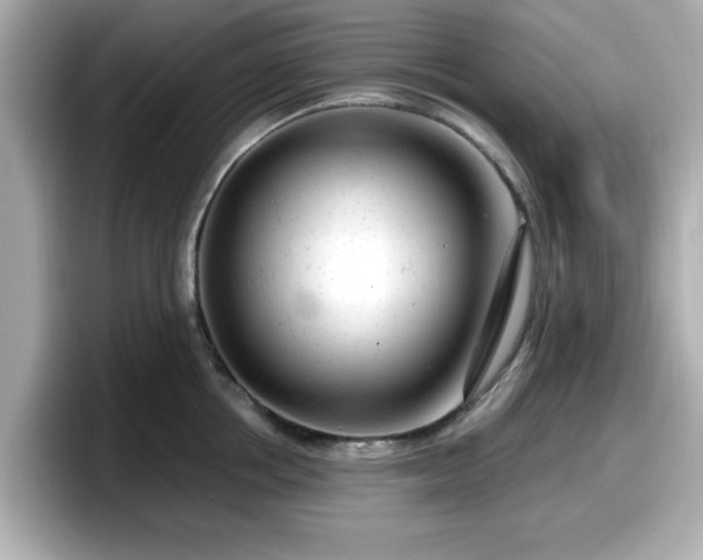 X0000098120858200804111114