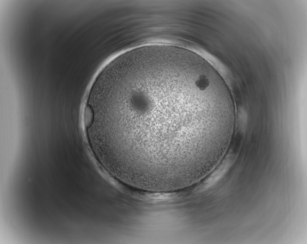 X0000098120862200804111114