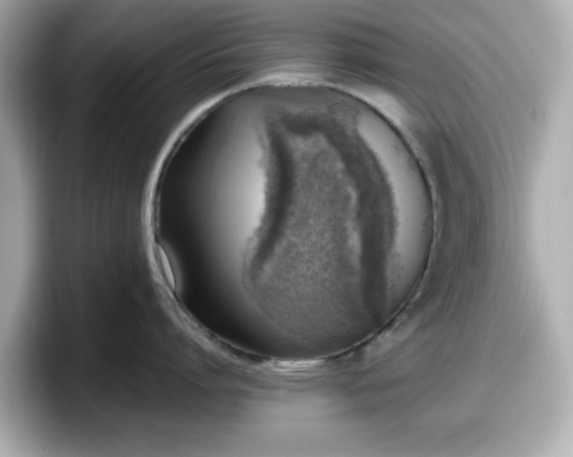 X0000098120864200804111114
