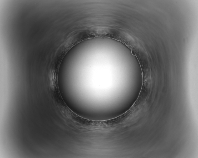 X0000098120866200804111113