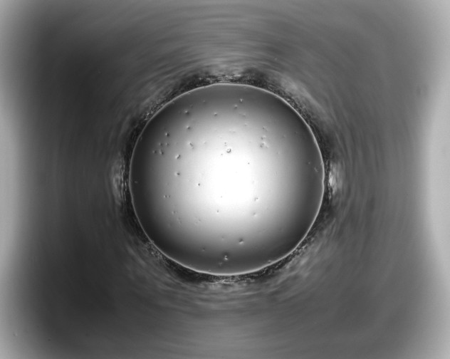 X0000098120867200804111113