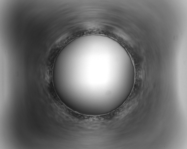 X0000098120869200804111113