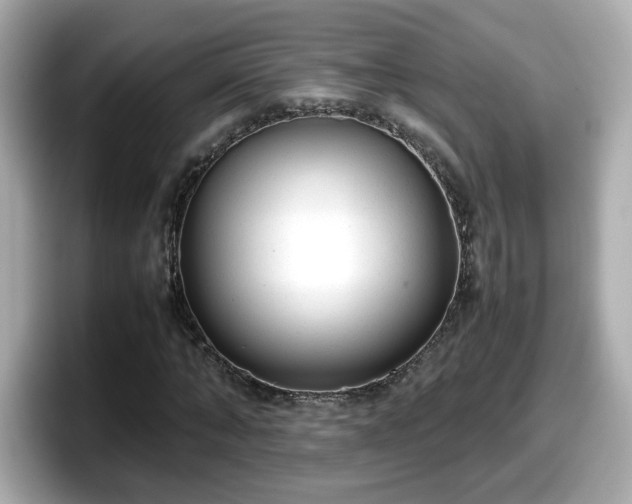 X0000098120870200804111113