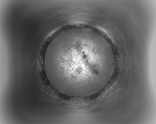 X0000098120871200804111113
